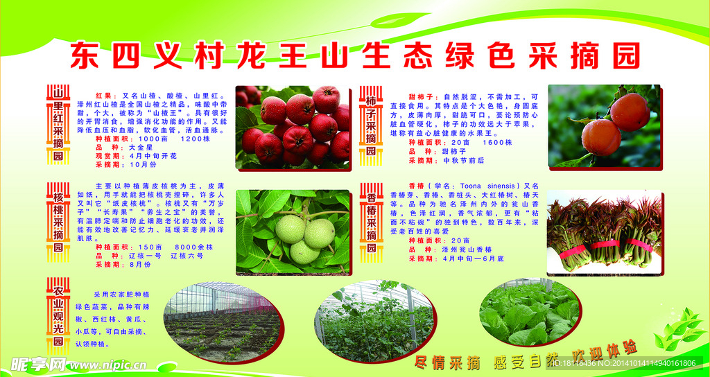 东四义村龙王山生态绿