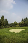 长广溪湿地公园