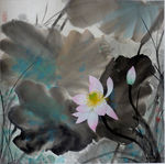 出水芙蓉
