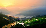 梯田风景