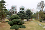 宜昌河心公园