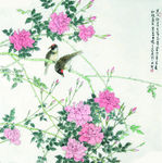 禽栖花枝
