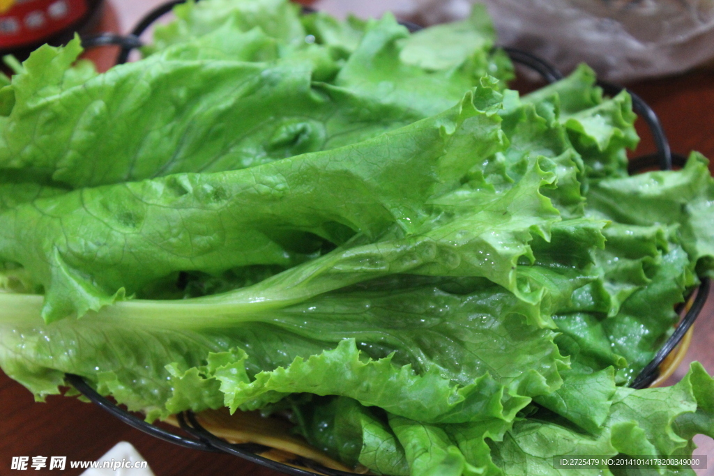 生菜