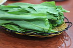香麦 油麦菜