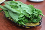 香麦 油麦菜