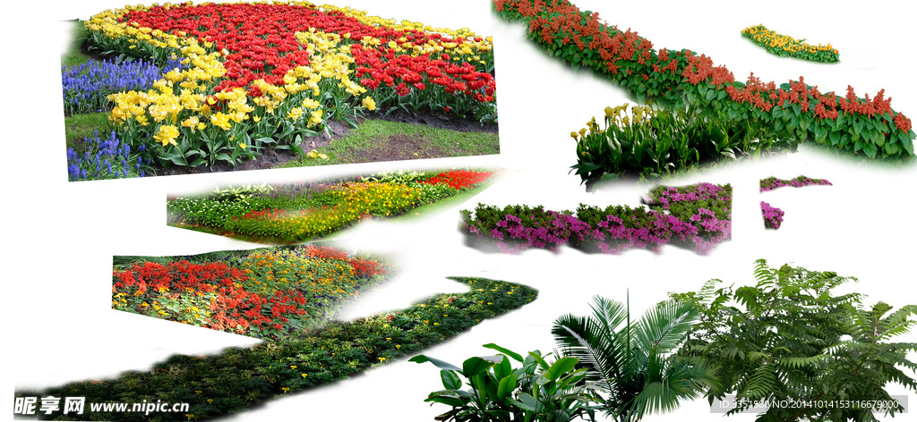 草花 四季草花 草花后