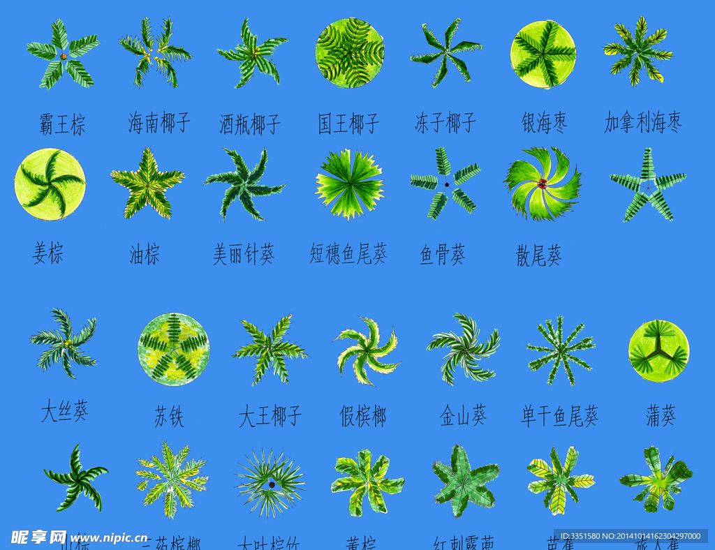 平彩素材 平彩树木 平