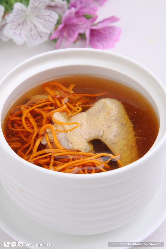 虫草花炖飞鸽