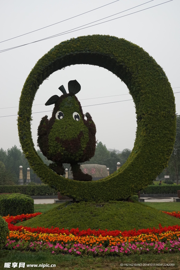 公园 小花