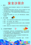 安全沙简介