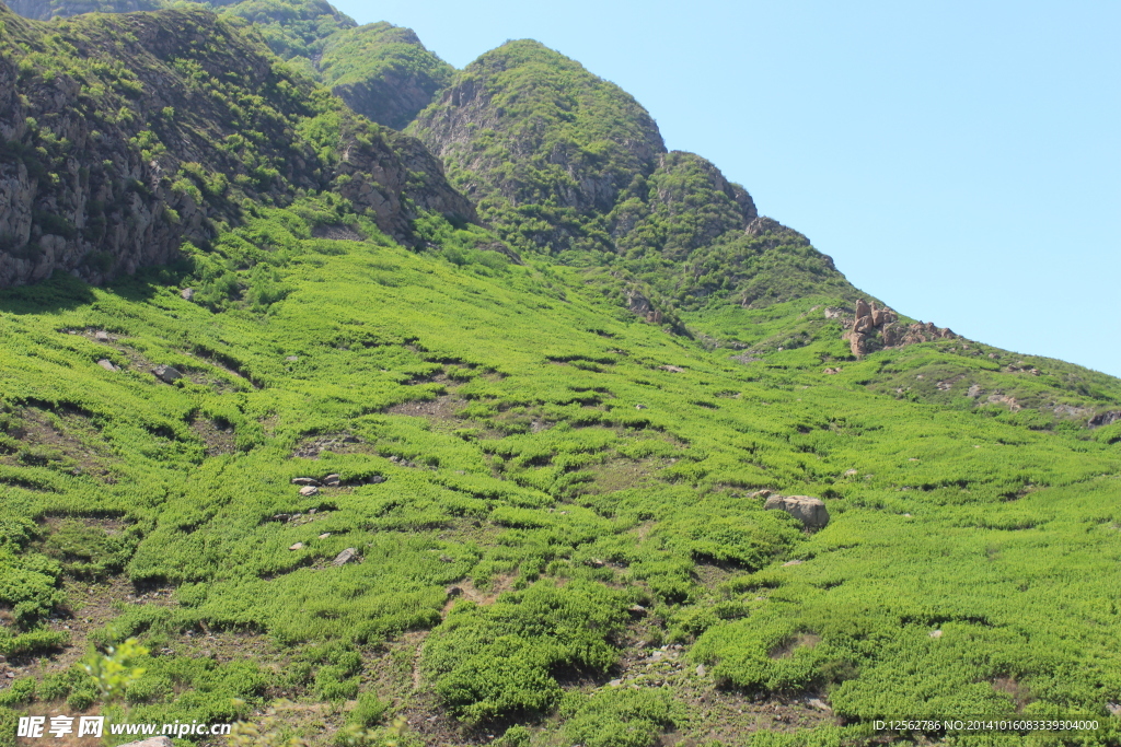 山坡风景
