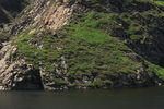 山水风景