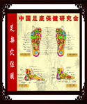 足底反射区图