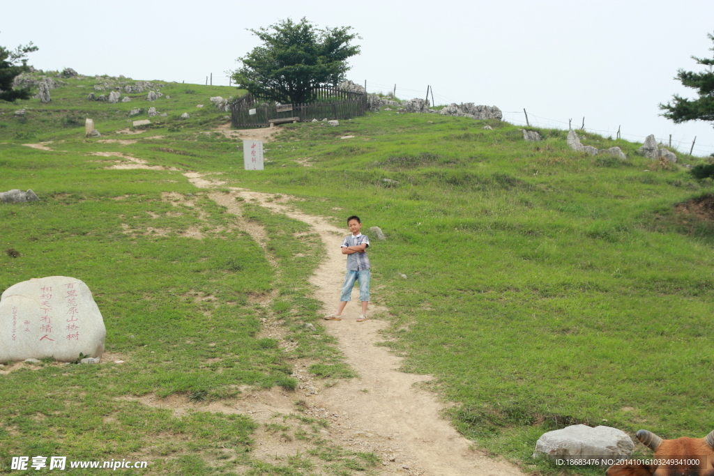 山路风景