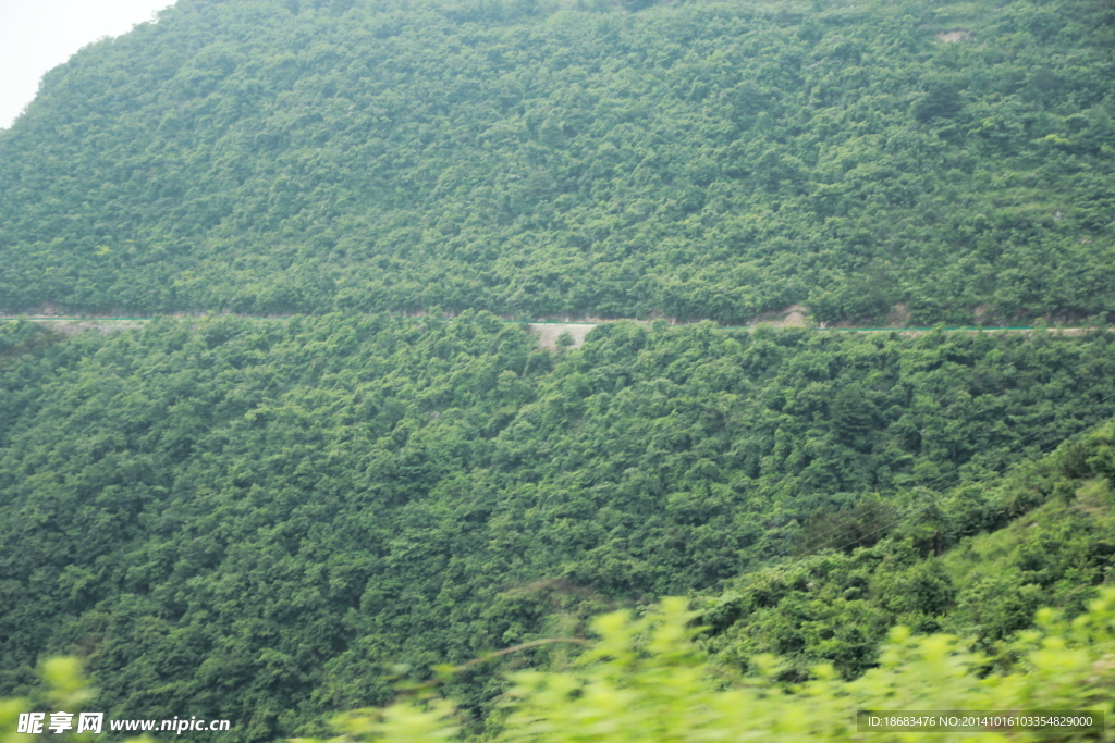 路青山