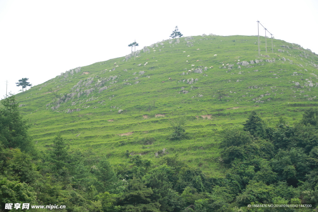 山地青山