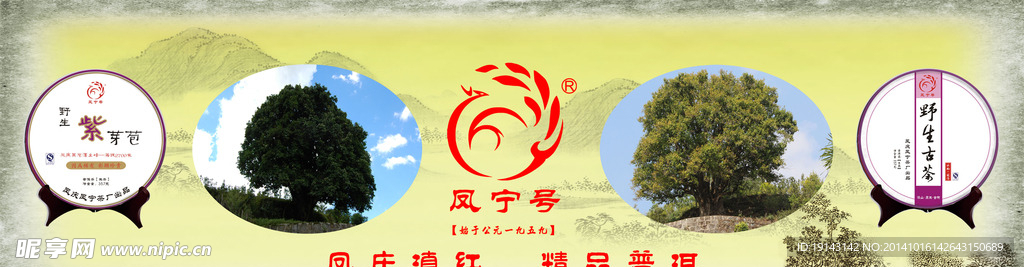 精品普洱