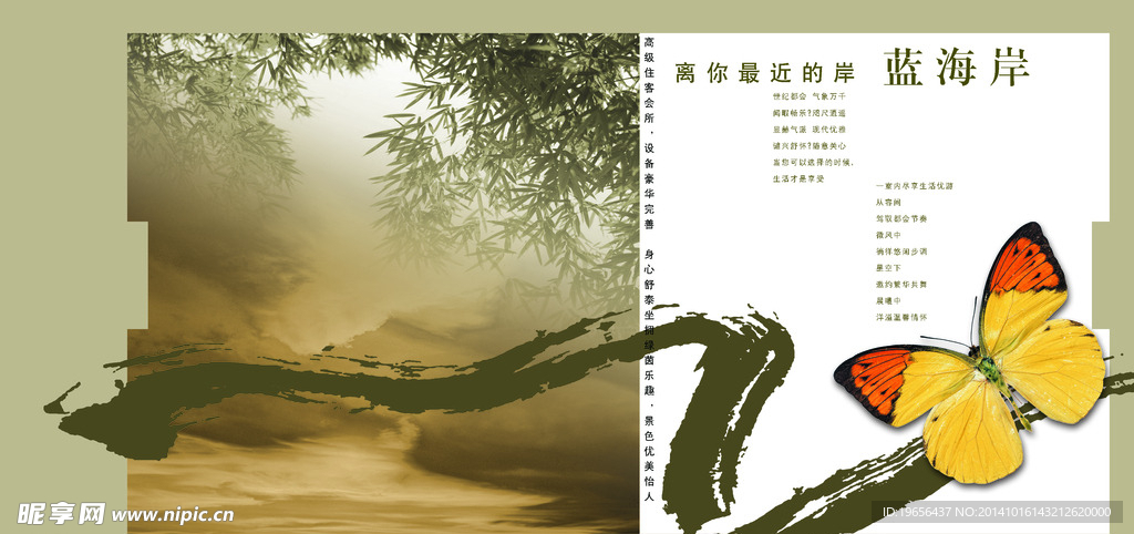 蝴蝶 背景  画册  毛
