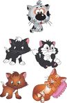 卡通猫