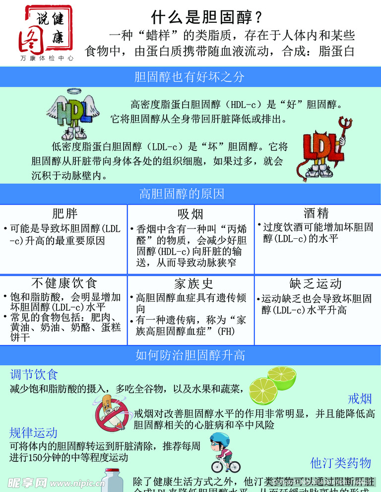 什么是胆固醇