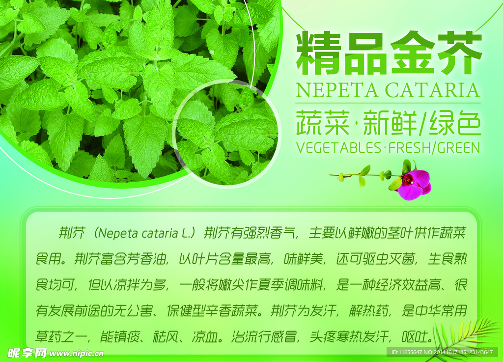 菜