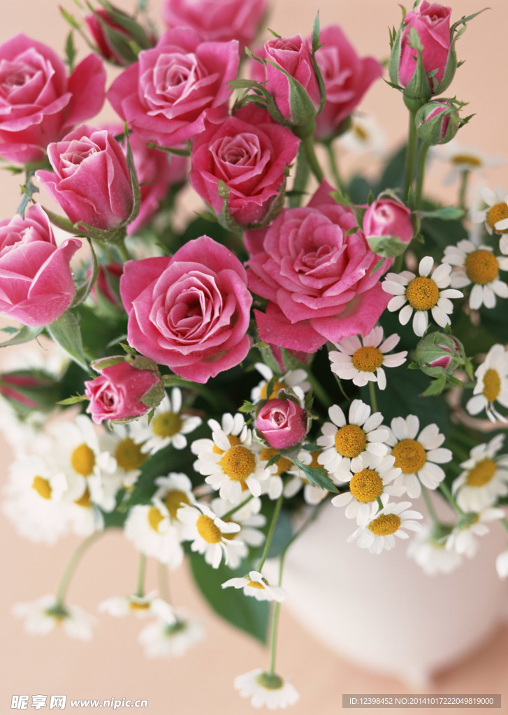 居家玫瑰鲜花