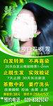 头发护理