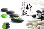 修心养身 背景图片