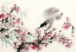 杨氏松鼠小品