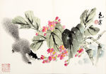 杨氏松鼠小品