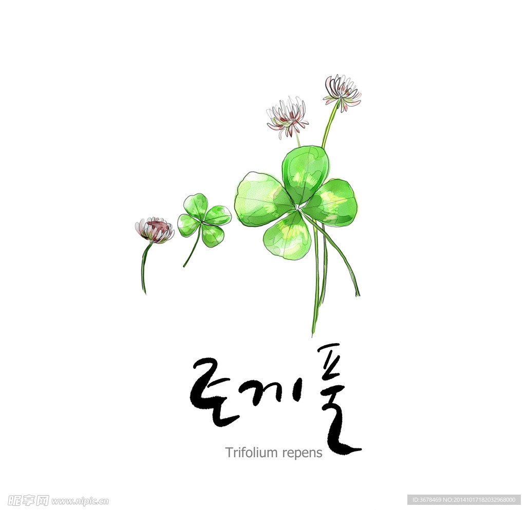 花草 手绘 美图 设计 