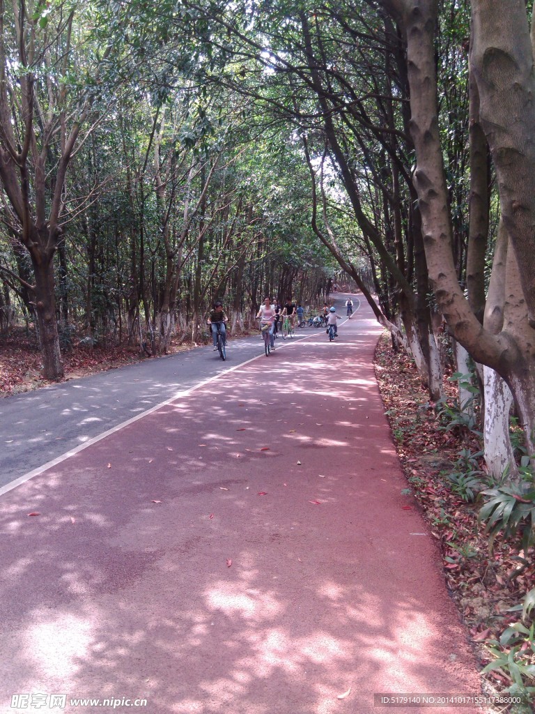 森林