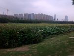 自然景观