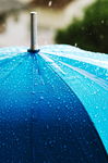 蓝色雨伞