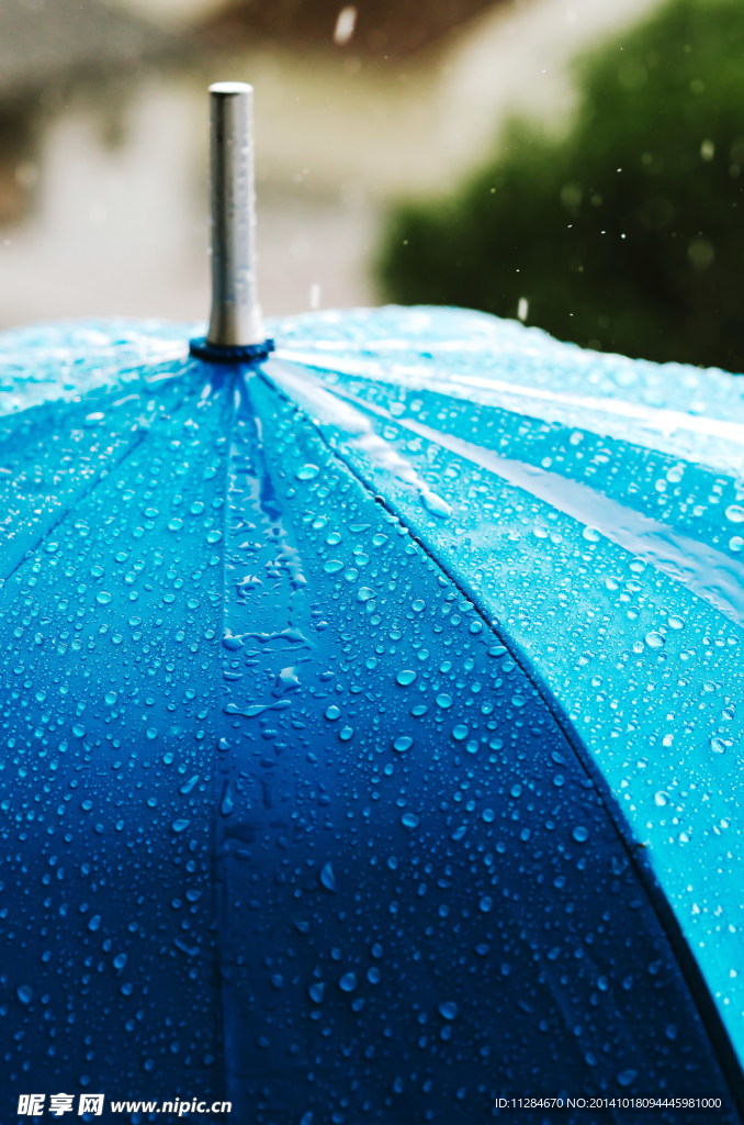 蓝色雨伞