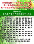 国珍松花粉