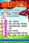 驾校招生海报