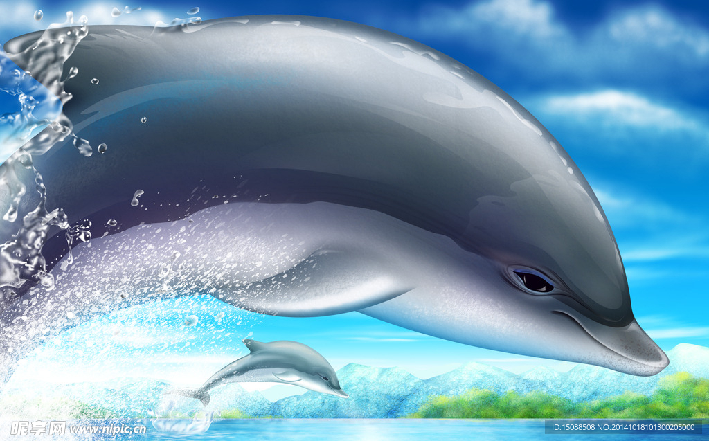 海豚插画