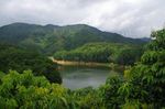 羊台山风景