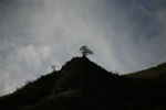 天山
