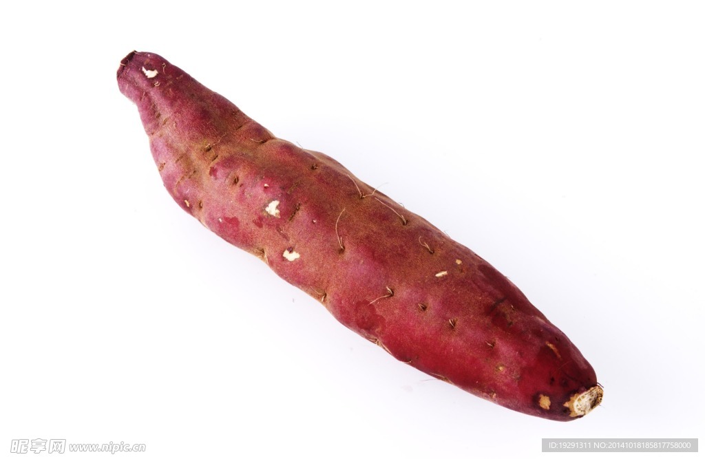 生薯