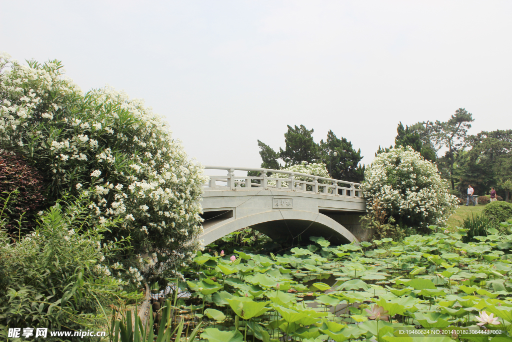 小桥