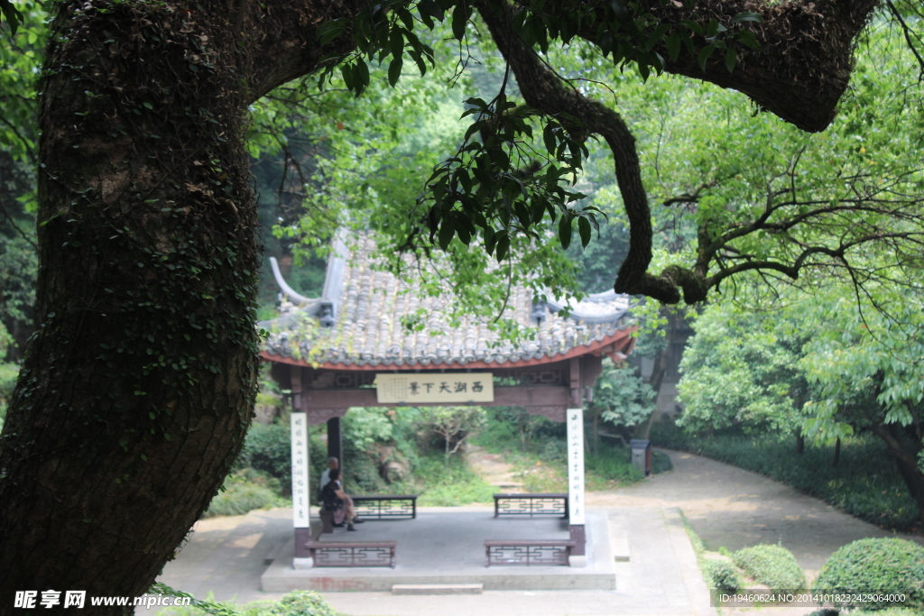 林中小庭
