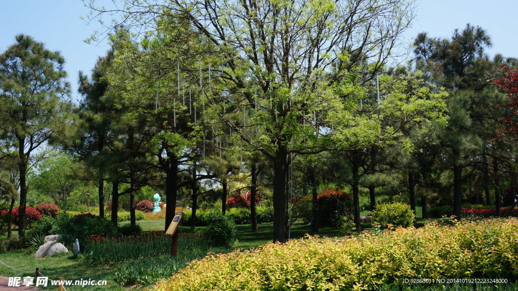 日照植物园