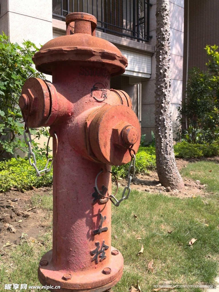 地上栓