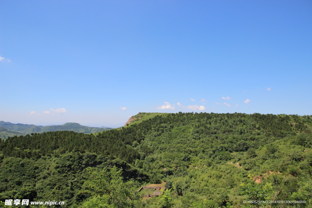 山林