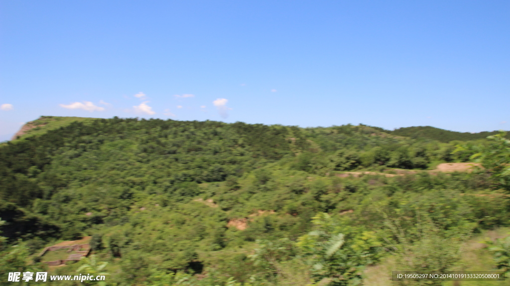 山林