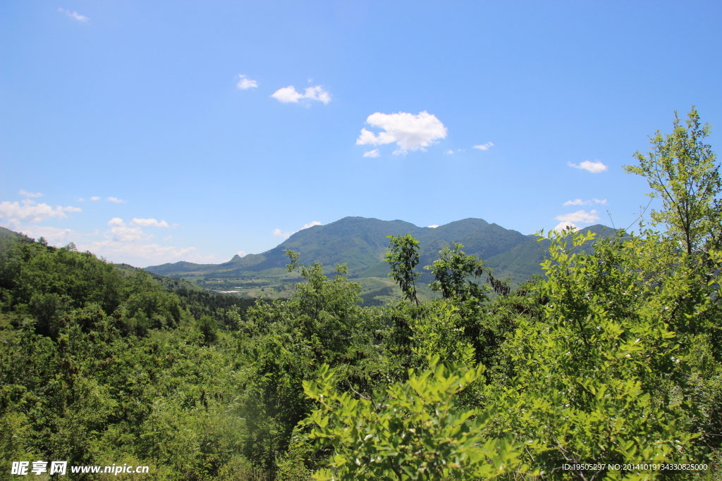 青山景观