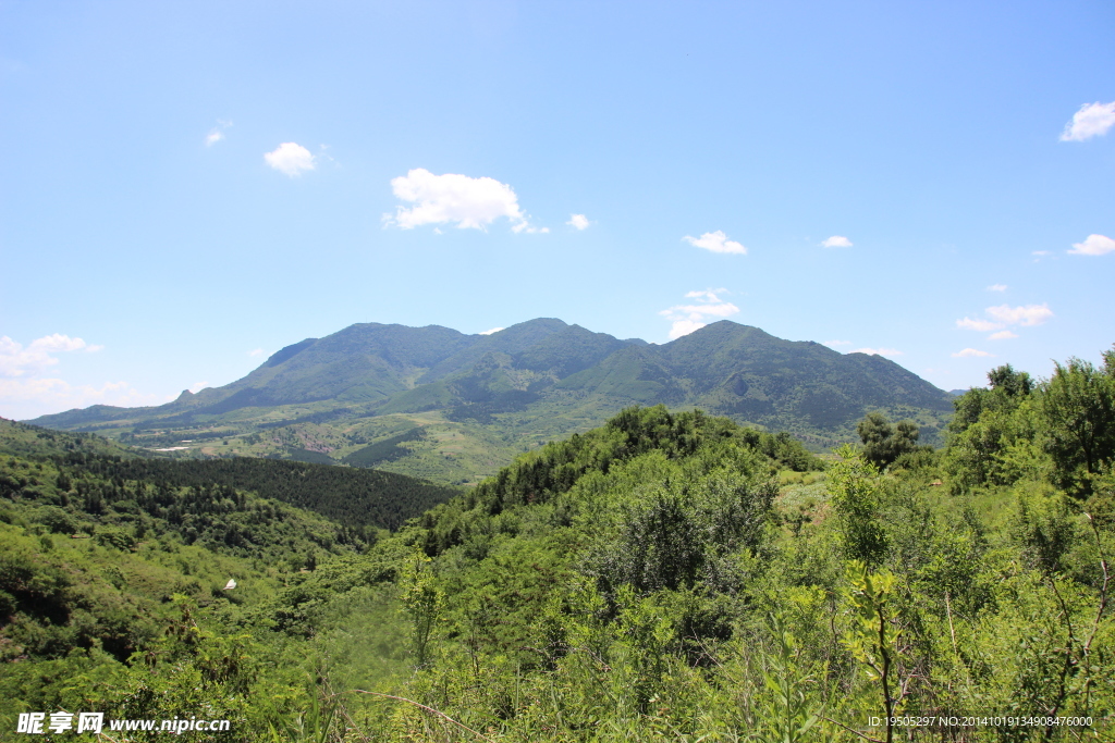 青山景观