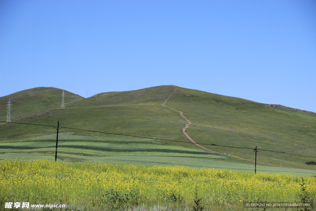 青山景观